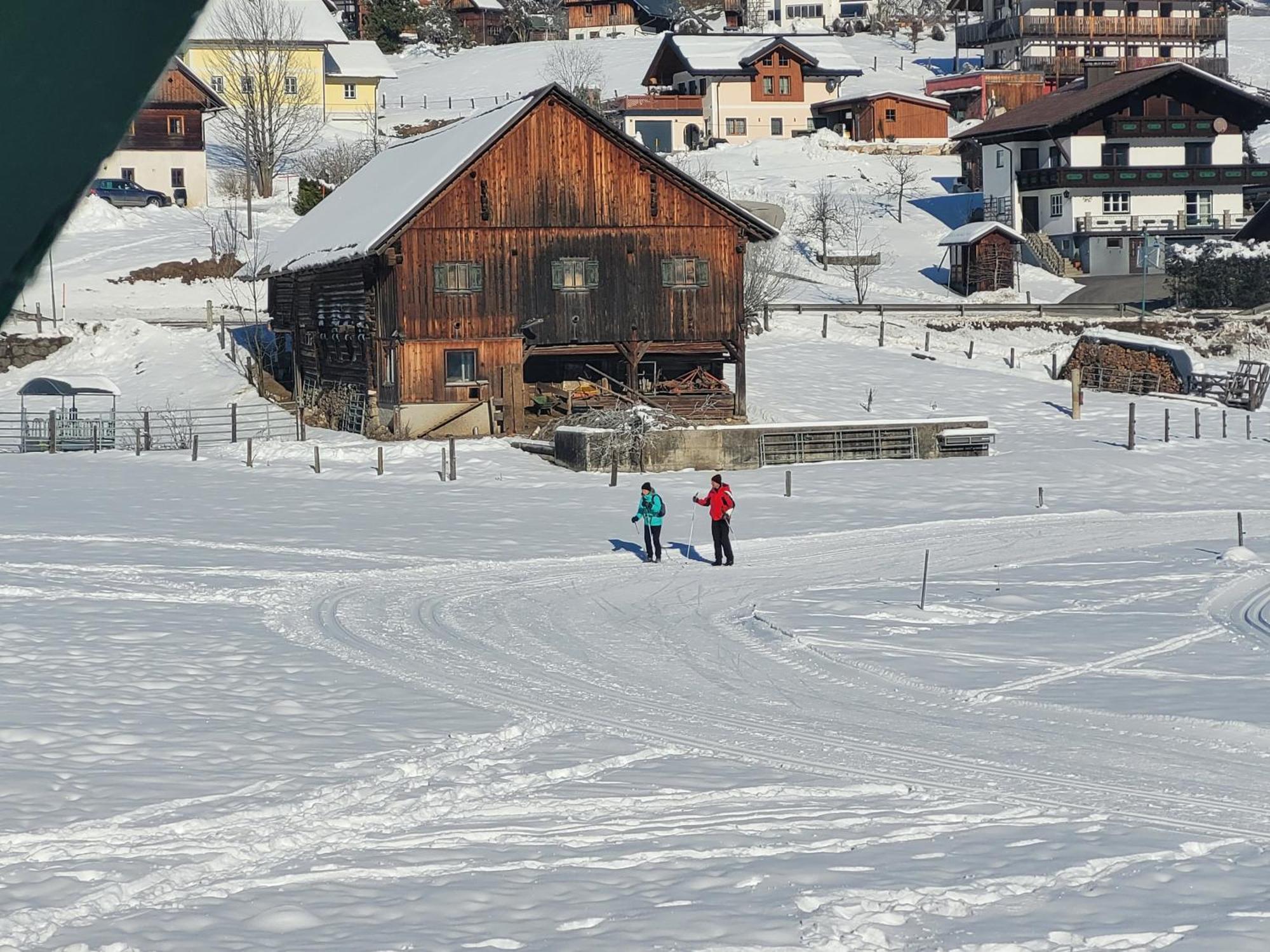 Apartmenthaus Edelweiss In Gosau Exteriér fotografie
