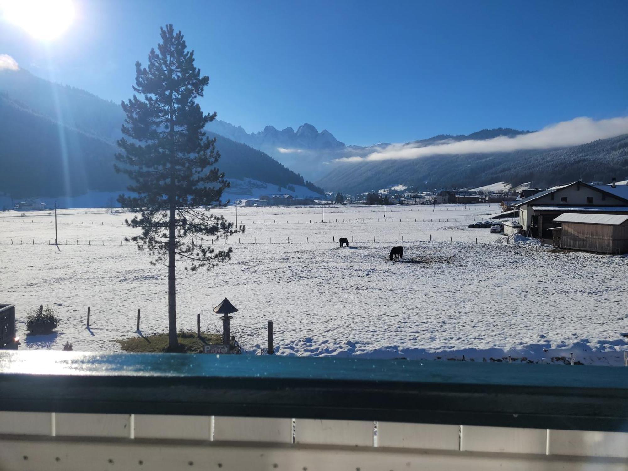 Apartmenthaus Edelweiss In Gosau Exteriér fotografie