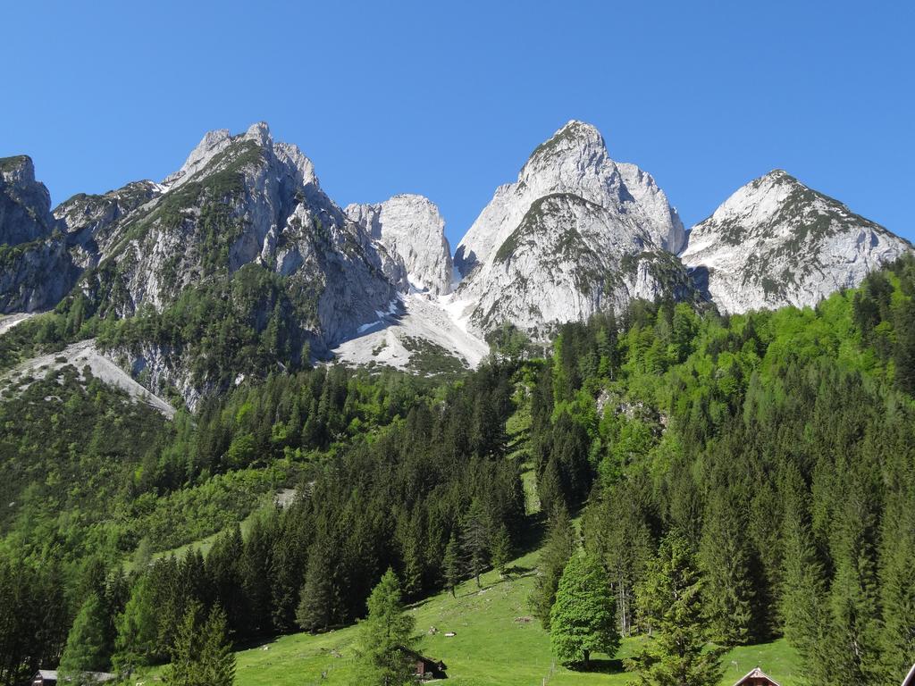 Apartmenthaus Edelweiss In Gosau Pokoj fotografie